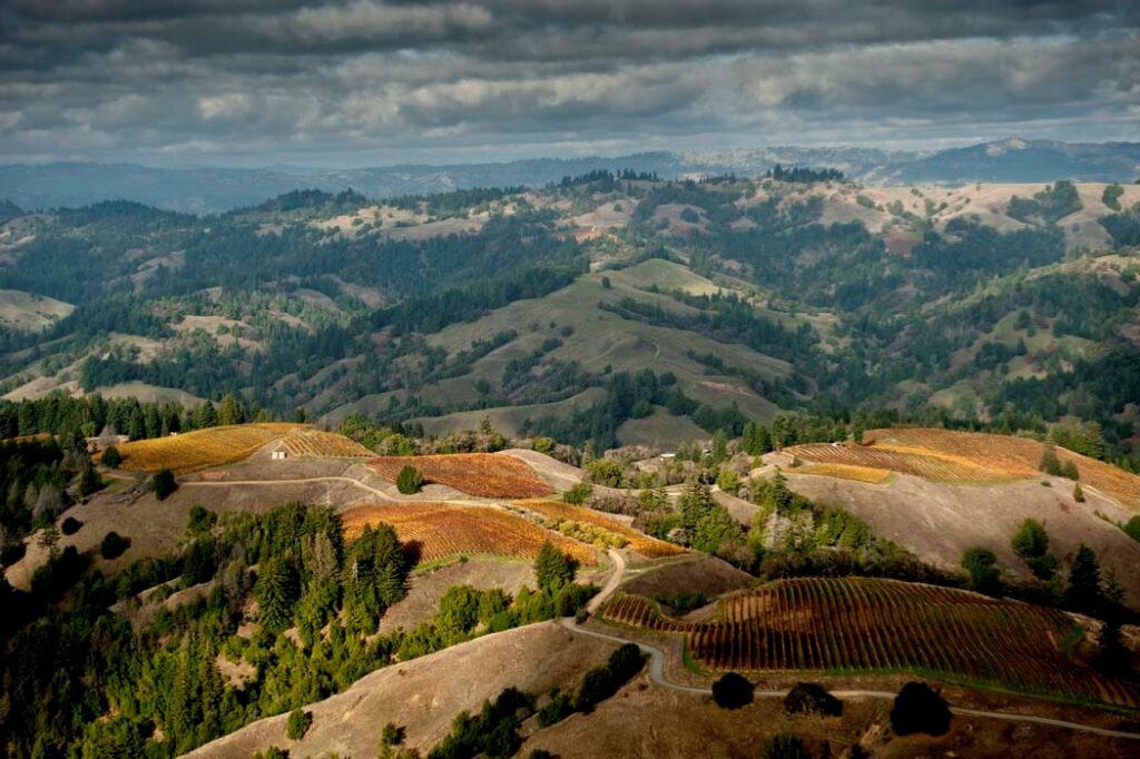 Capstone California Wijngaard Jamy Kutch Sonoma Coast